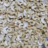 Cashew kernels