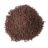Mustard seeds