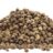 Hempseed 