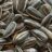 Sunflower seeds