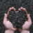 Sunflower seeds