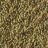 Coriander seeds
