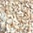 Cashew kernels