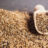 Cumin seeds
