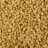 Fenugreek seeds