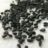 Nigella seeds