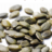 Pumpkin seeds kernels