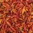 Chilli dried whole