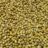 Coriander seeds