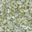 Cashew kernels